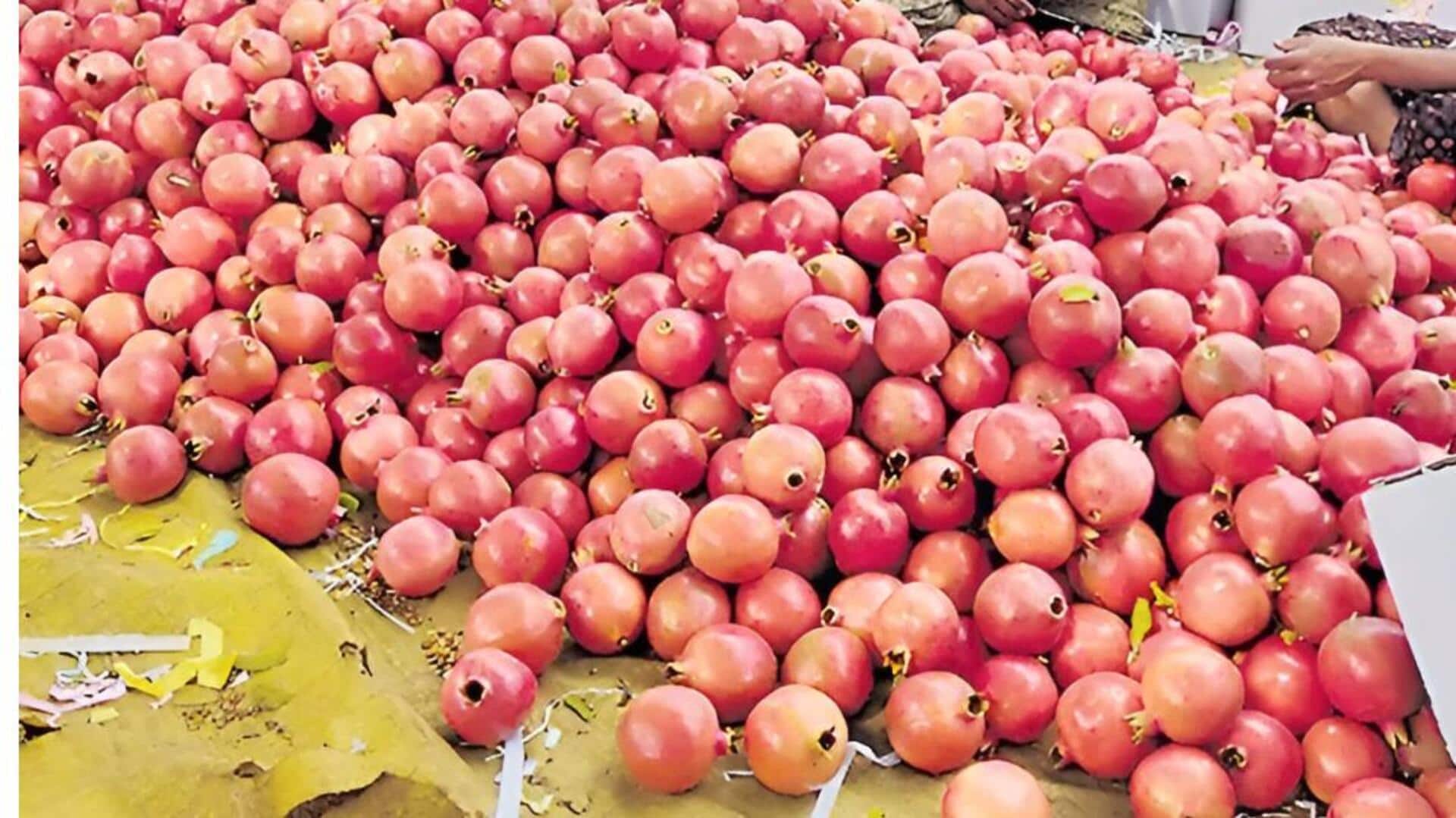 Andhra Pradesh: దానిమ్మ రైతులకు స్వర్ణయుగం: టన్ను రూ.2 లక్షలకు కొనుగోలు చేస్తున్న వ్యాపారులు