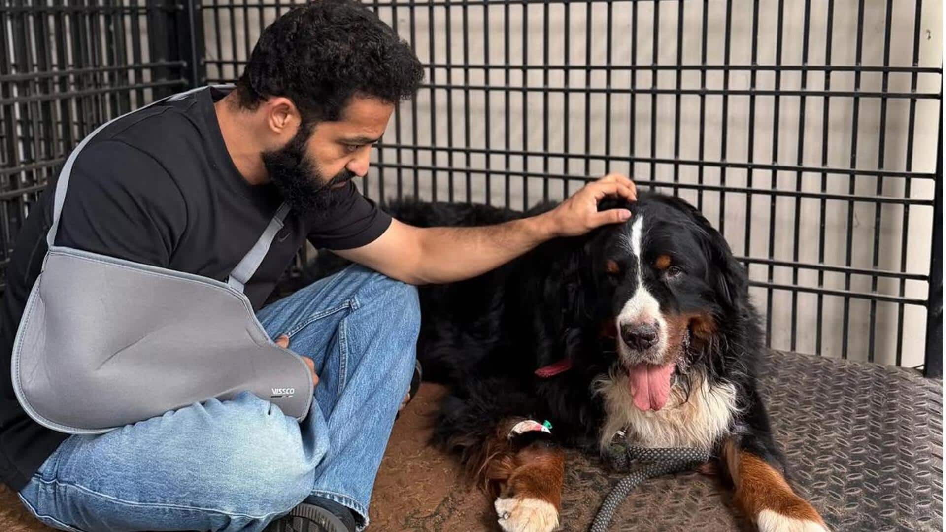 Jr NTR : బగీరా చనిపోయింది.. ఎన్టీఆర్‌ ఎమోషనల్‌ పోస్ట్..