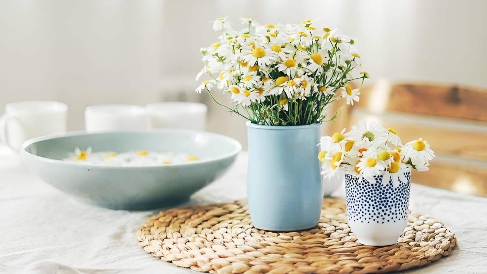 chamomile: మట్టి కుండీలో క్యామమైల్ పెంచాలా?.. ఇలా చేస్తే పుష్పాలతో కళకళలాడుతుంది!