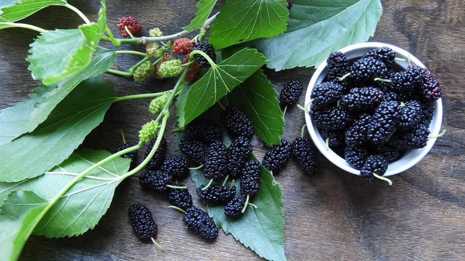 African mulberry leaves: పట్టణ కాలుష్యానికి చెక్‌.. ఆఫ్రికన్ మల్బరీ ఆకులు ఎలా పనిచేస్తాయంటే?