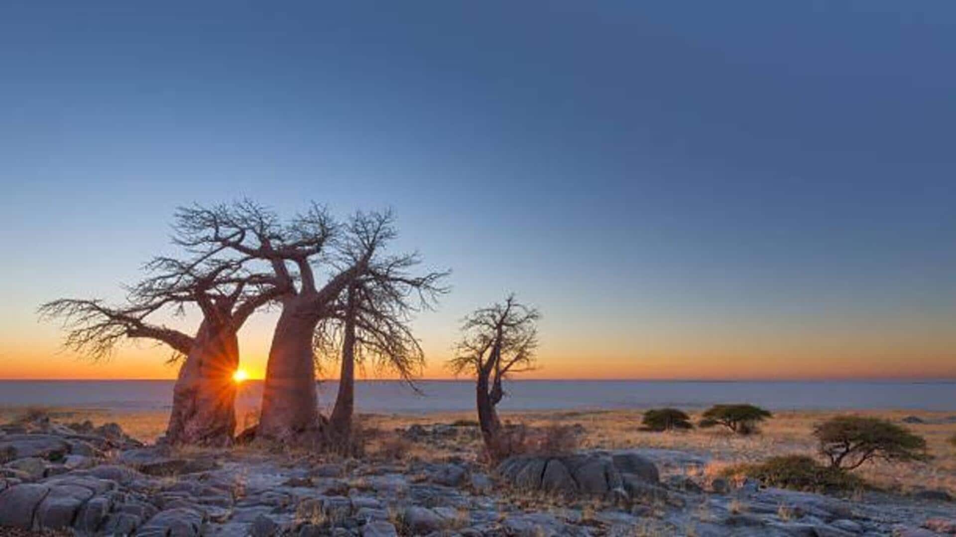 Botswana Tourism: బోట్స్వానాలో దాగున్న పర్యాటక అద్భుతాలు.. ఈ ప్రదేశాలు తెలుసా?