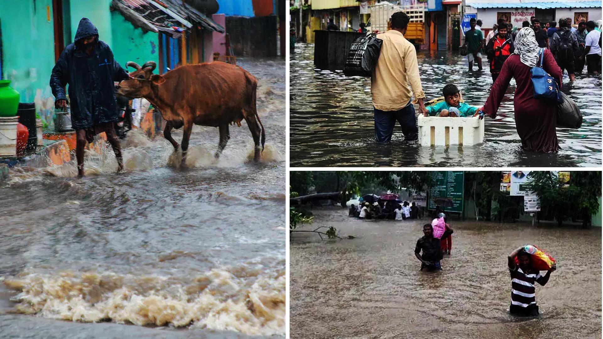 Tamilnadu Heavy rains: తమిళనాడులో భారీ వర్షాలు.. 4 జిల్లాల్లో పాఠశాలలు మూసివేత 