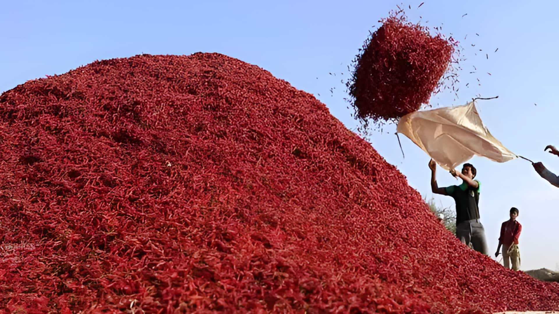 Telangana: వరంగల్‌ మిర్చి మార్కెట్‌లో దేశీ మిర్చికి రికార్డు ధర.. గత మూడేళ్లలో ఇదే అధిక ధర