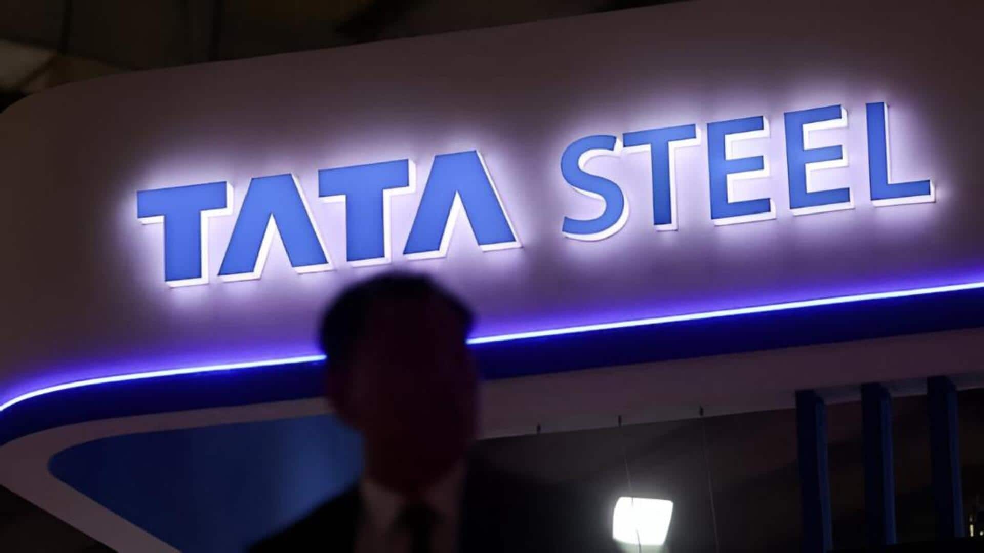 Tata steel: టాటా స్టీల్ నెదర్లాండ్స్ యూనిట్‌పై డచ్ ఎన్జీవో దావా