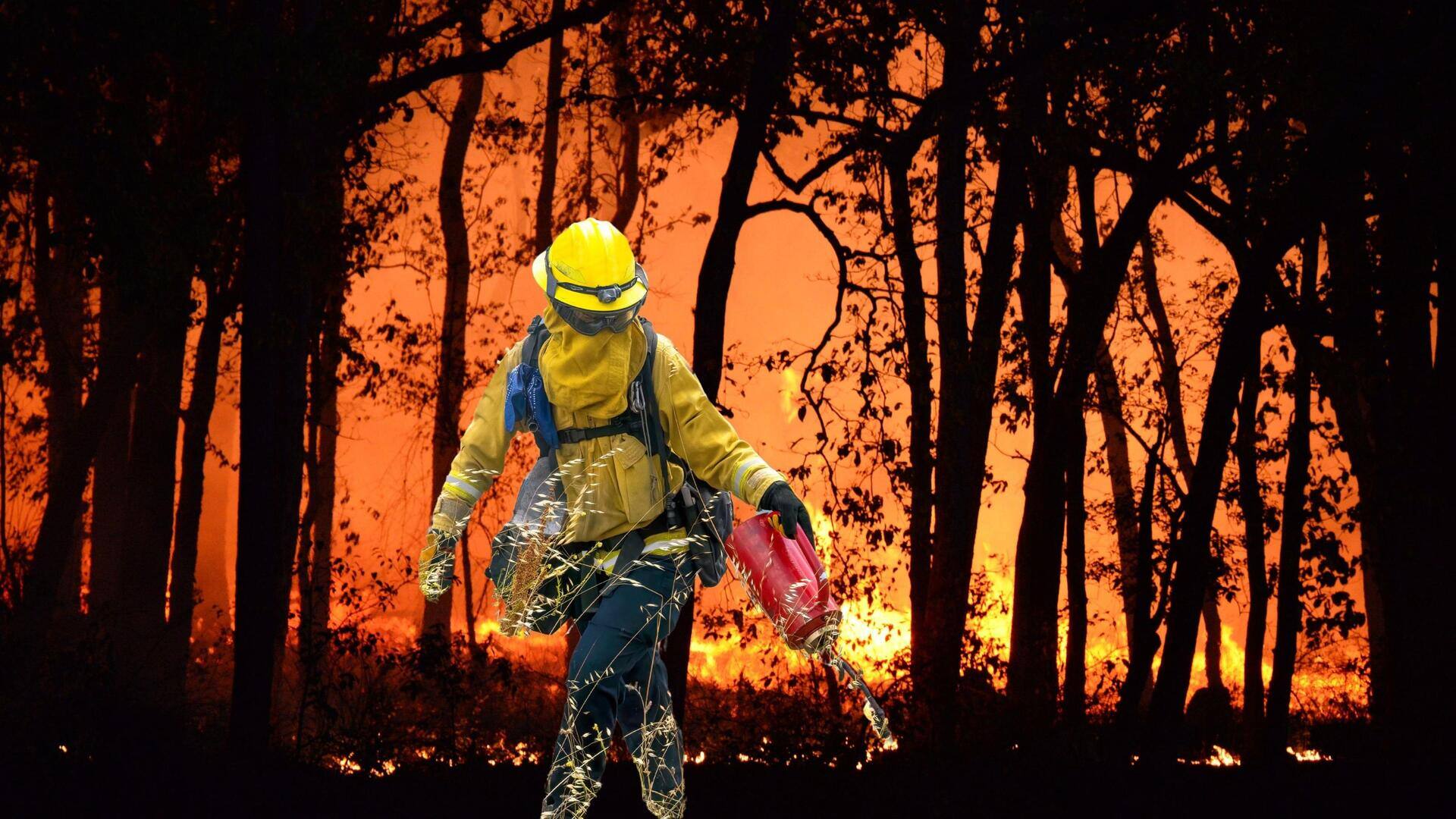 Chile Wildfires: చిలీ అడవుల్లో కాల్చిచ్చు.. 46 మంది మృతి