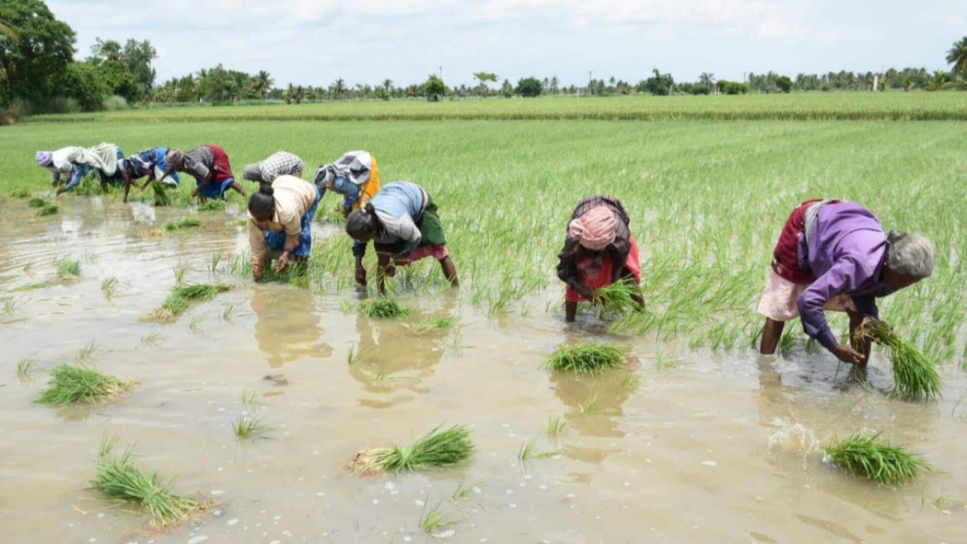 Telangana: 16 జిల్లాల్లో వర్షాభావ ప్రభావం..నెమ్మదిగా వరి నాట్లు!
