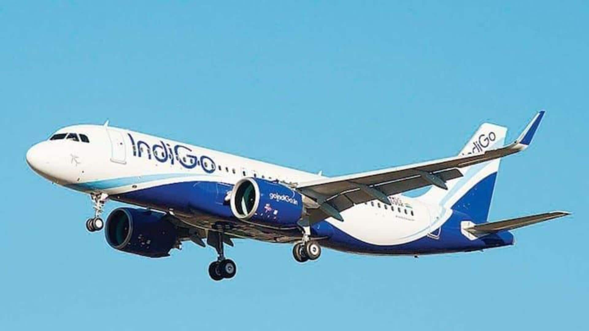 IndiGo: ఆదాయం పెరిగినప్పటికీ ఇండిగో క్యూ3 నికర లాభంలో 18 శాతం క్షిణించింది