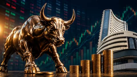 Stock Market: స్టాక్ మార్కెట్‌లో కొత్తవారా?.. ఈ విషయాలు తప్పక తెలుసుకోండి!