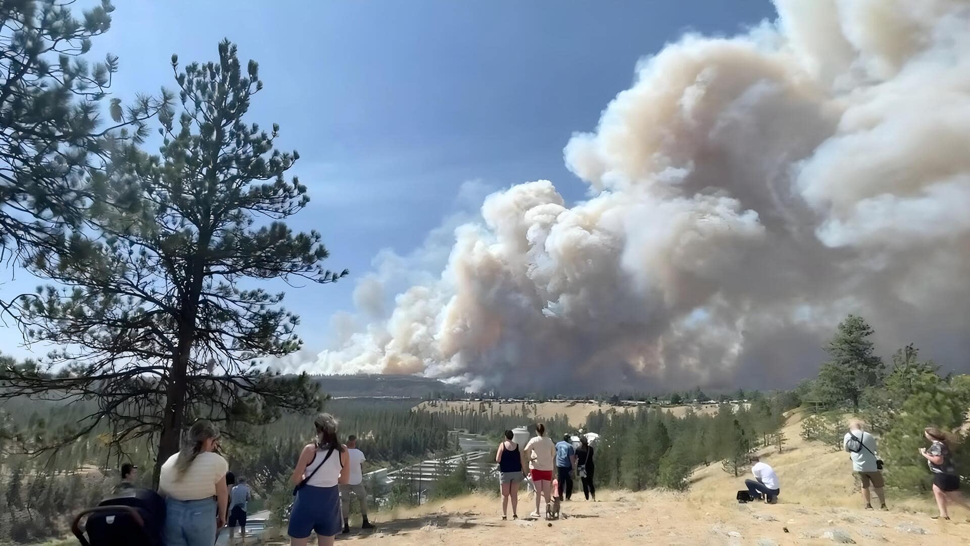 Washington Wildfires: వాషింగ్టన్‌ను వణికిస్తున్న కార్చిచ్చు.. అత్యవసర పరిస్థితి విధింపు