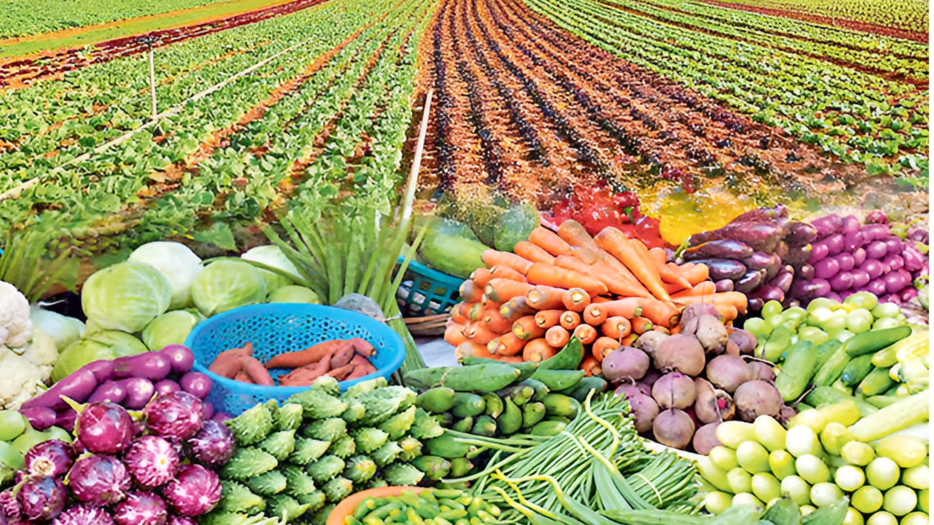 Telangana : ఏడాదంతా సాగుతోనే కూరగాయల లోటు నివారణ