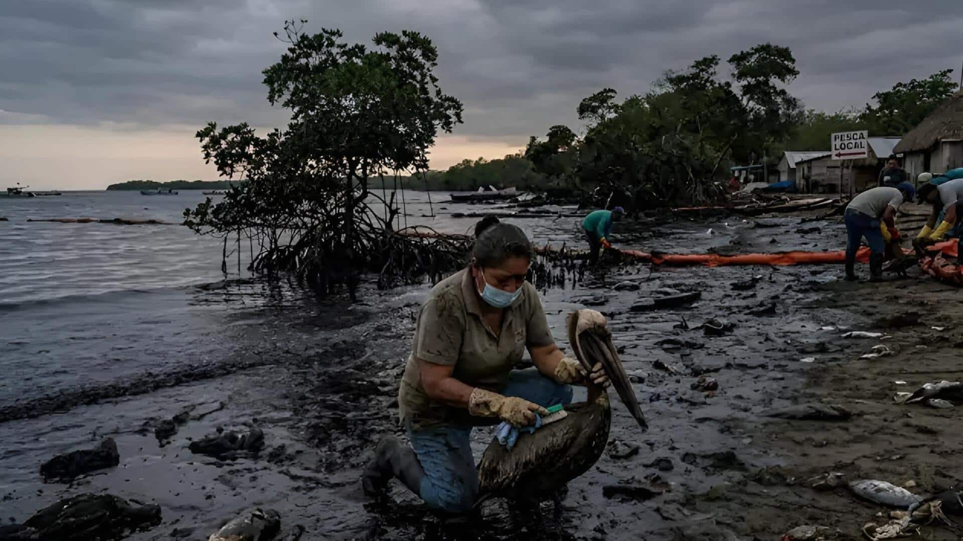 Mexico: సముద్రంలో 600 కి.మీ చమురు తెట్టు.. జలచరాలపై తీవ్ర ప్రభావం