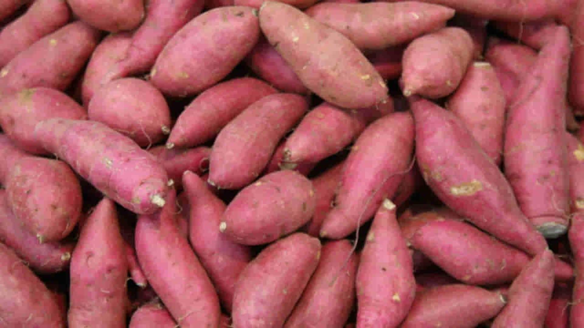 Foods: మీరు ఇష్టపడే 5 రుచికరమైన చిలగడదుంప వంటకాలు.. రుచిగా చేసుకోండిలా