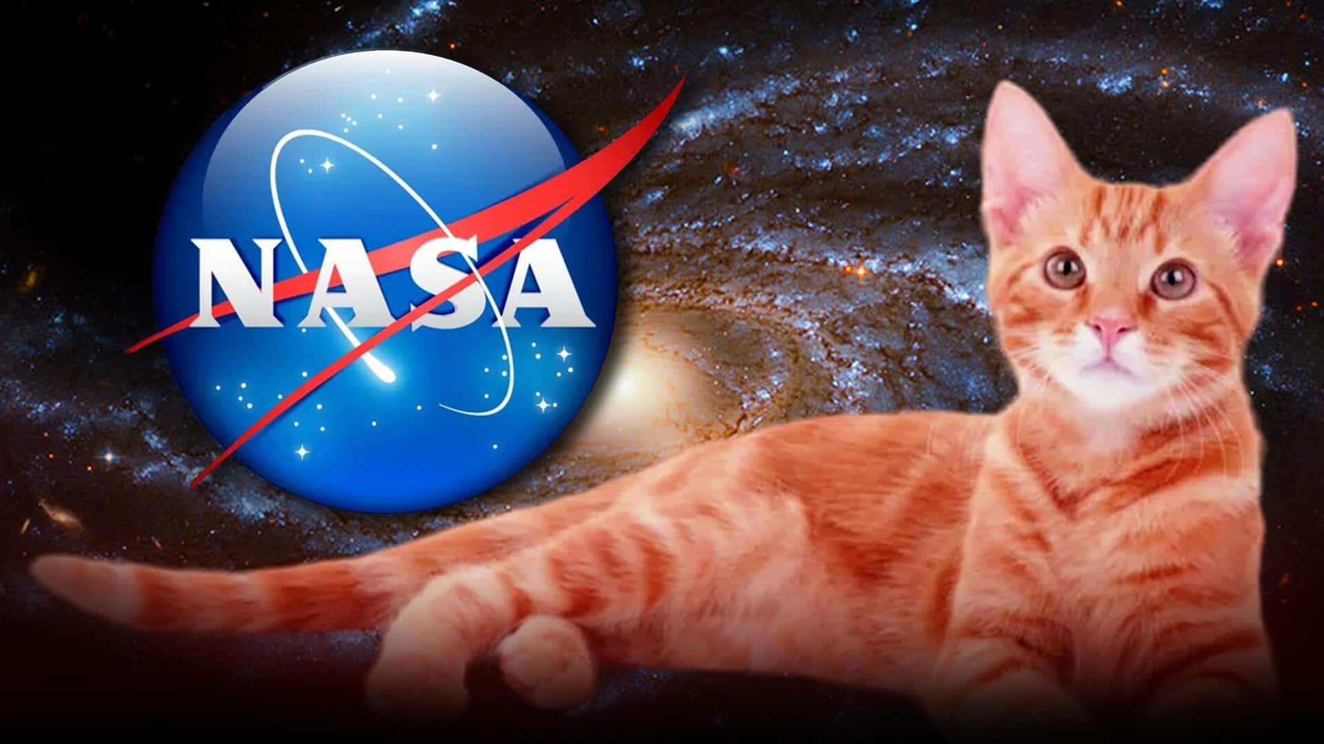NASA : లేజర్‌ కమ్యూనికేషన్‌లో కీలక మైలురాయి.. అంతరిక్షం నుంచి తొలిసారి వీడియో ప్రసారం చేసిన నాసా