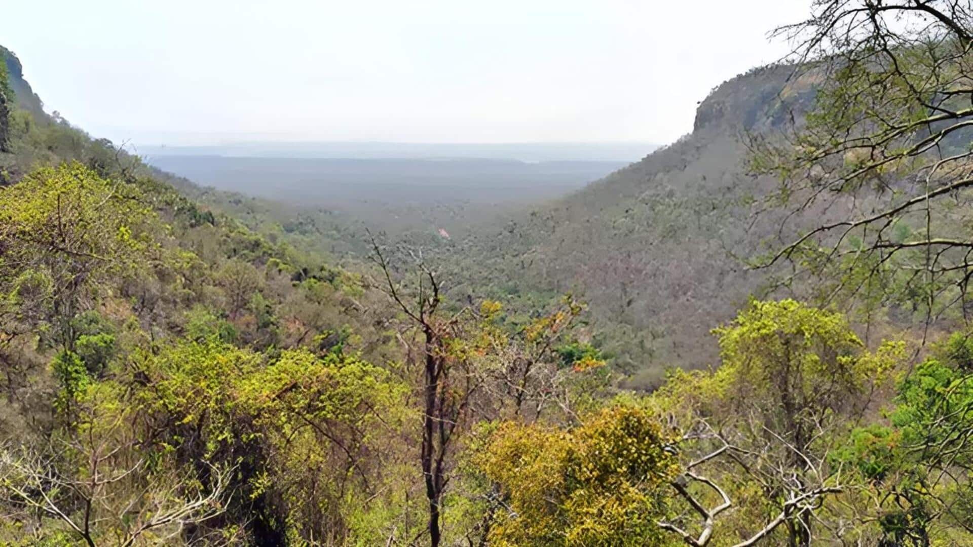 Telangana: కర్రెగుట్టలో ఐఈడీల పేలుడు.. 10 మంది జవాన్లకు గాయాలు