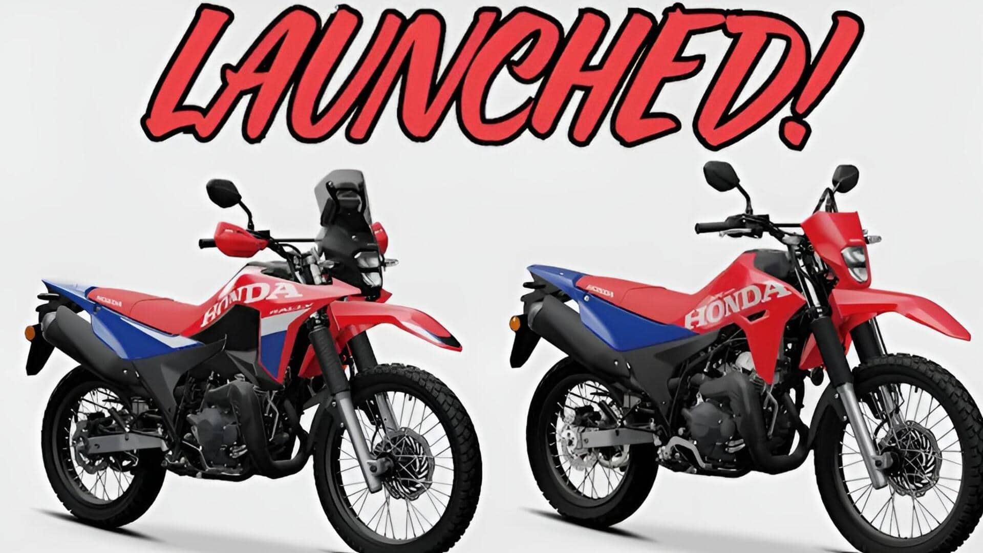 Honda XR300L: హోండా నుంచి రెండు కొత్త అడ్వెంచర్‌ బైక్స్‌.. ధరలు, స్పెక్స్‌ ఇవే!