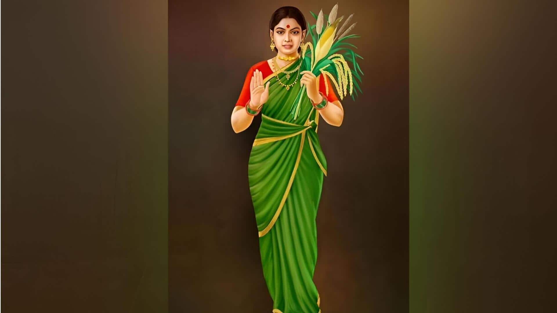 Revanth Reddy: జిల్లా కలెక్టరేట్లలో తెలంగాణ తల్లి విగ్రహాల ఆవిష్కరణ.. పర్చువల్ గా ప్రారంభించిన సీఎం రేవంత్ రెడ్డి 