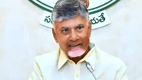 Chandrababu: కొత్త బడ్జెట్‌పై చంద్రబాబు ప్రశంస.. మెరుగ్గా ఉందంటూ కితాబు