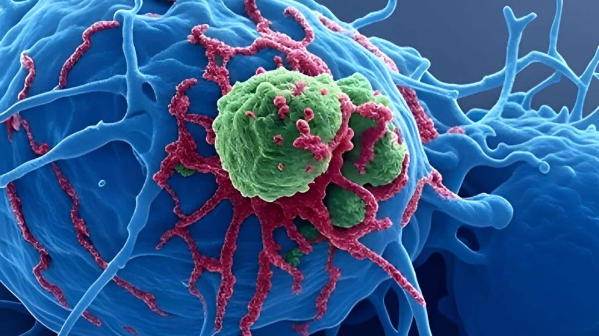 Gynecologic Cancer: గైనిక్ క్యాన్సర్ చికిత్సలో ఆస్ట్రేలియా పరిశోధకుల సరికొత్త అధ్యయనం