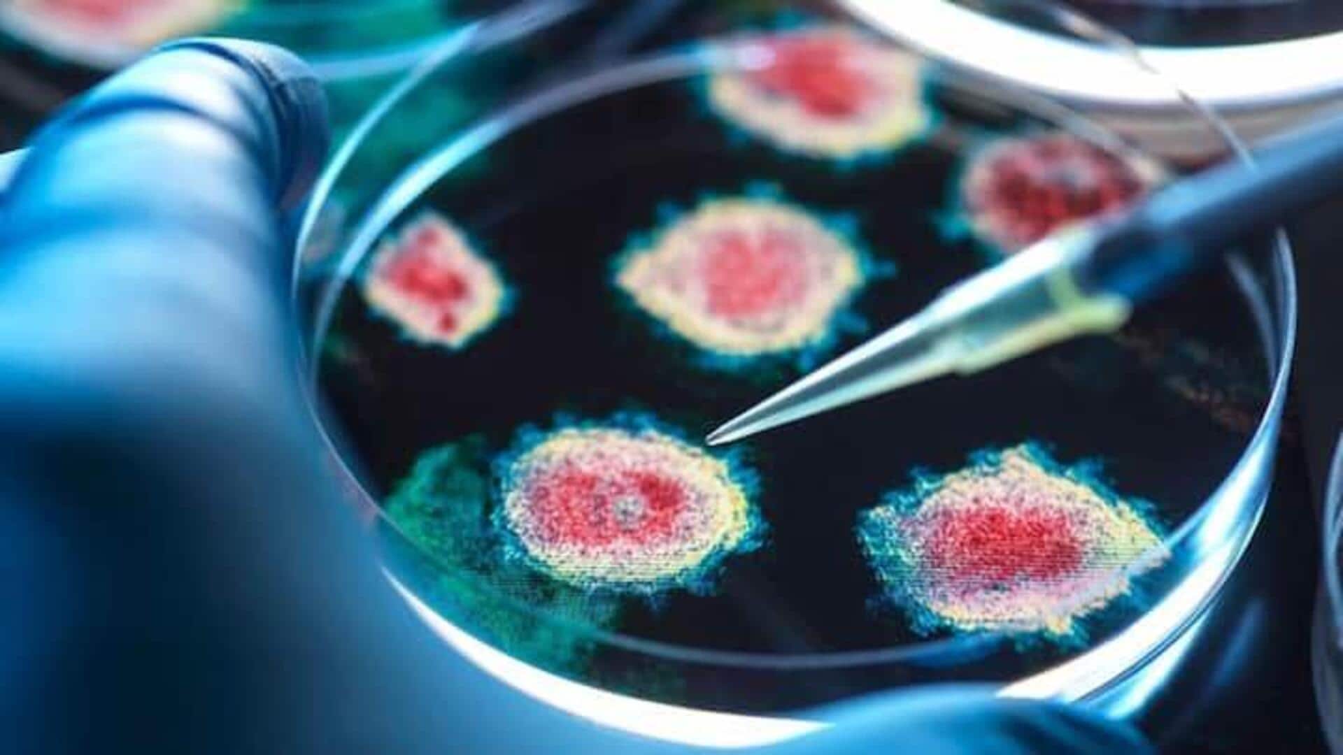 Deadly Bioweapon: చైనాలోనే,మరో భయంకరమైన ఫంగస్.. హెచ్చరించిన చైనా నిపుణుడు గోర్డాన్ చాంగ్ Deadly Bioweapon: చైనాలోనే,మరో భయంకరమైన ఫంగస్.. హెచ్చరించిన చైనా నిపుణుడు గోర్డాన్ చాంగ్