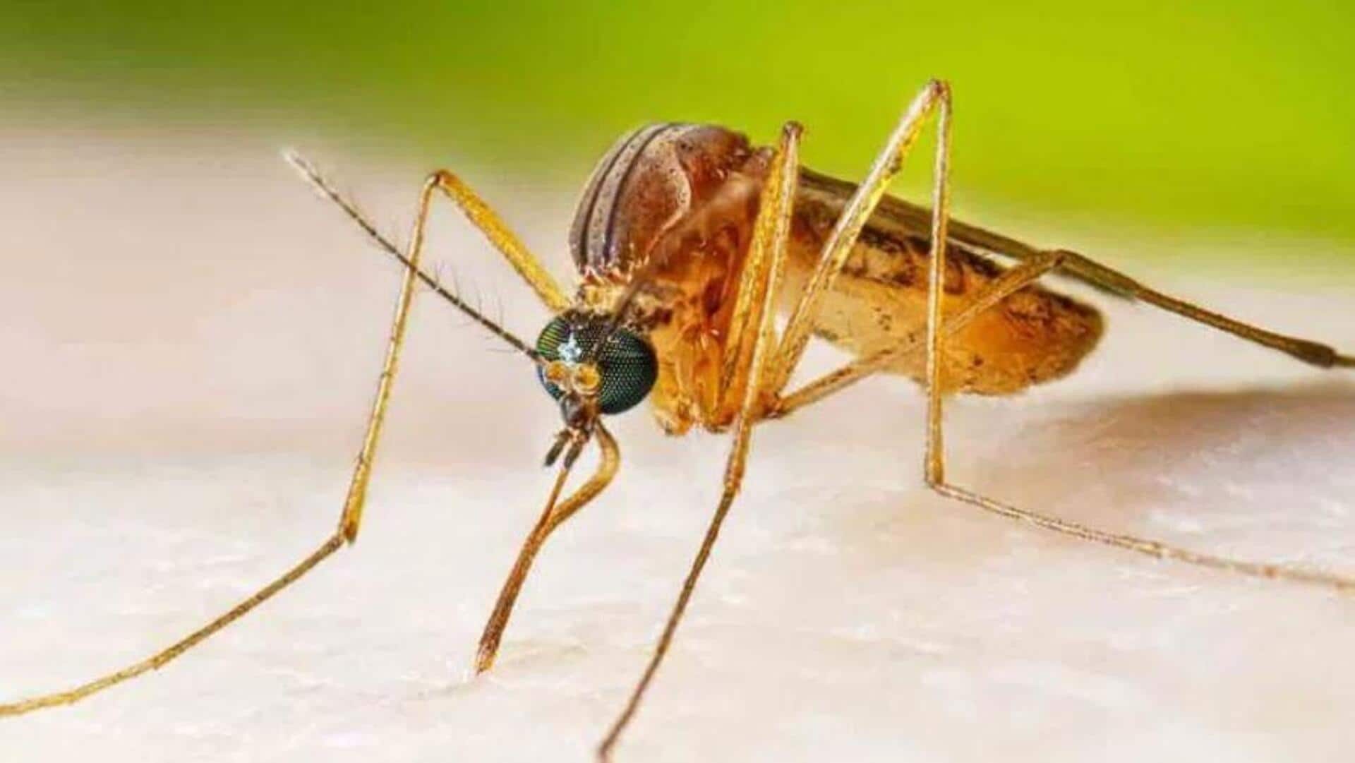 Kerala: కేరళను వణికిస్తున్న జపనీస్ ఎన్సెఫలైటిస్.. 26 మంది మృతి! Kerala: కేరళను వణికిస్తున్న జపనీస్ ఎన్సెఫలైటిస్.. 26 మంది మృతి!