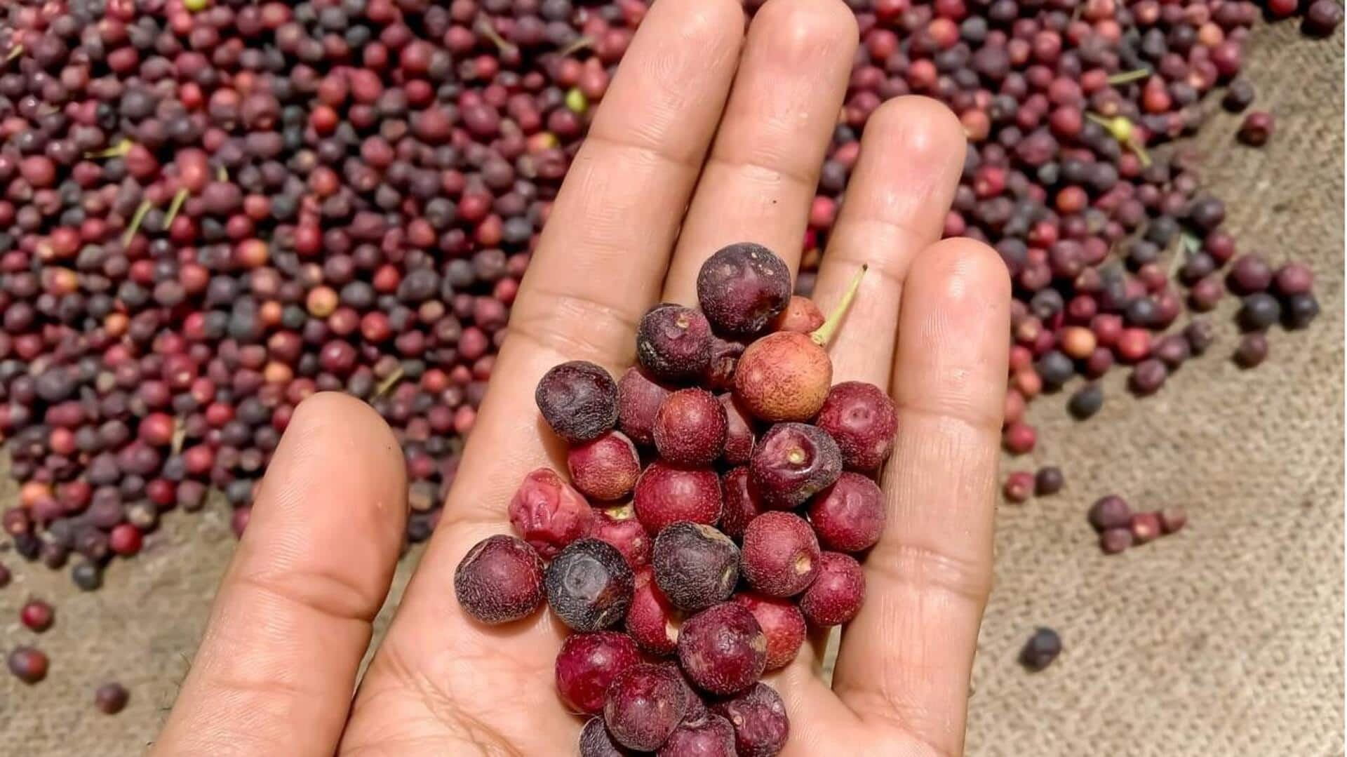 Phalsa Health Benefits: వేసవిలో ఫాల్సా పానీయం త్రాగితే ఎన్ని ప్రయోజనాలో తెలుసా? 