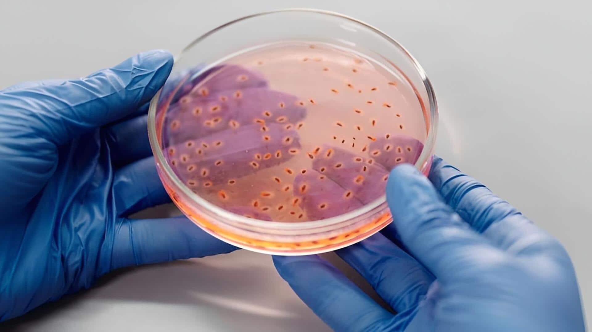 Shigella infection: కేరళలో షిగెల్లా ఇన్ఫెక్షన్ కలకలం.. 4 ఏళ్ల చిన్నారి మృతి,మరో ఇద్దరికి వైరస్ నిర్ధారణ..  