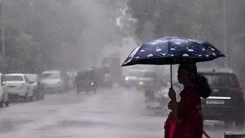 Heavy Rainfall: వర్ష బీభత్సం.. ఉత్తరప్రదేశ్‌లో 65 గంటల పాటు భారీ వర్షం.. 14 రాష్ట్రాల్లో అలర్ట్