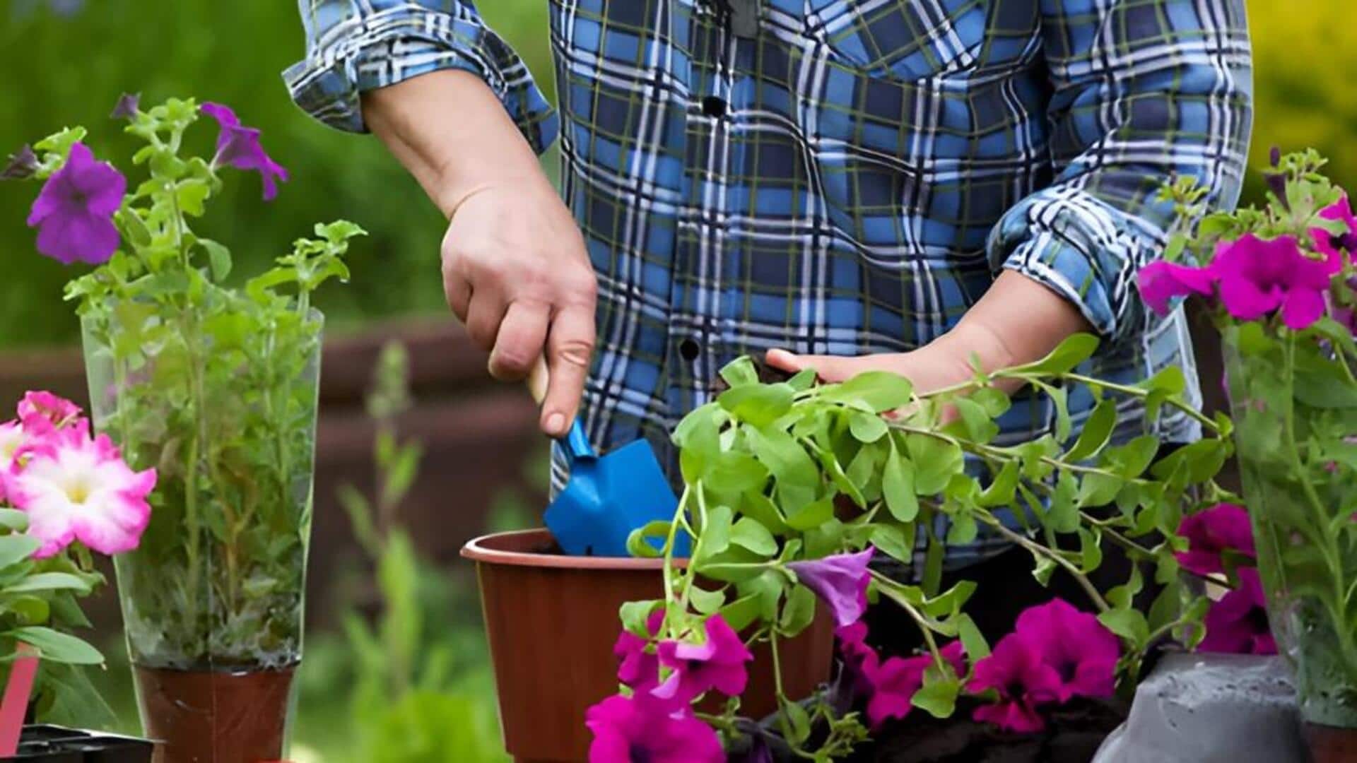 Gardening tips : తోటప‌నితో మానసిక ప్రశాంతత.. ప్రారంభించడానికి ఐదు చిట్కాలివే!