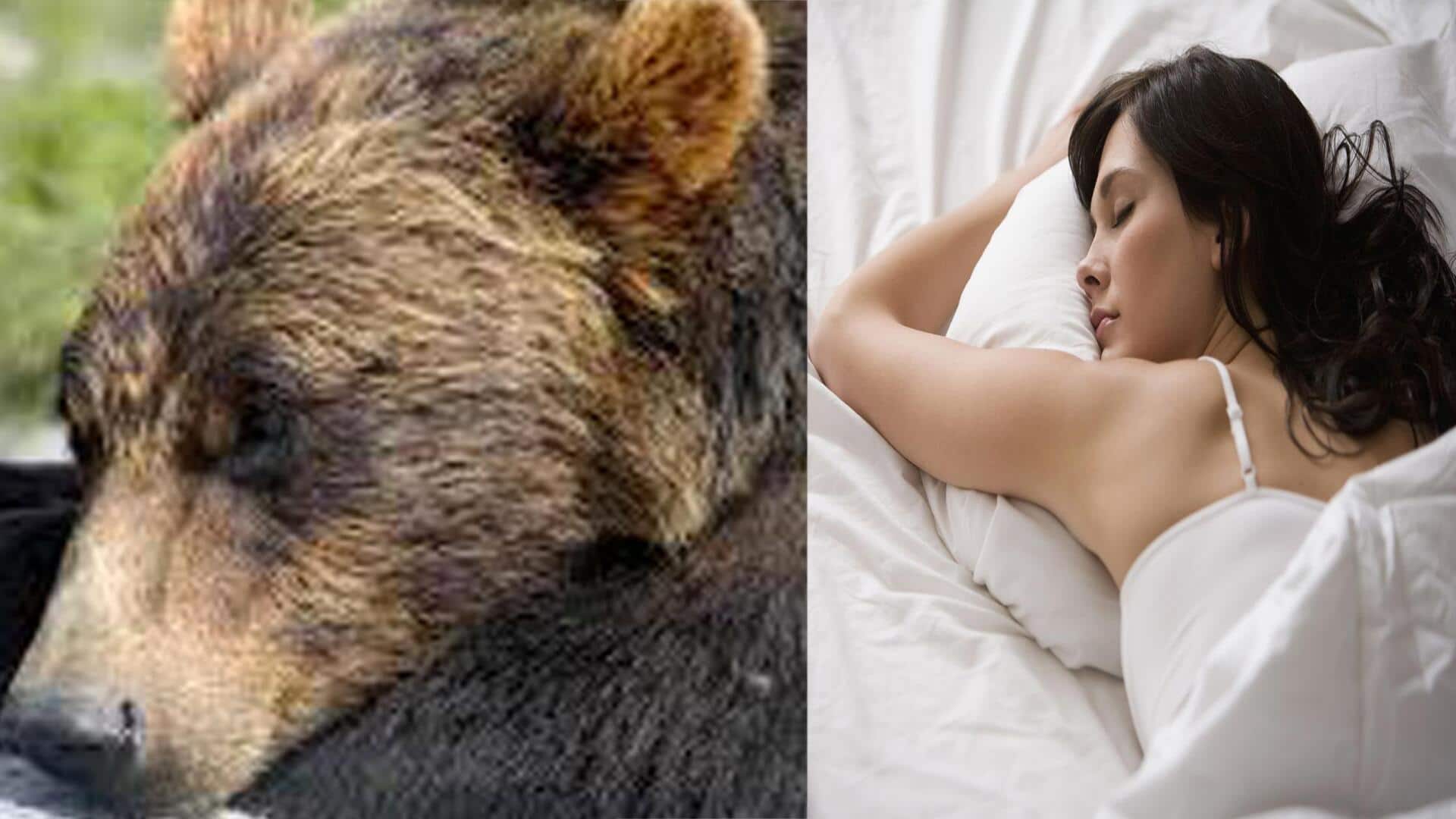 Bear Sleep:ఎలుగుబంటి నిద్ర గురించి తెలిస్తే షాక్ అవాల్సిందే.. ఎక్కువ కాలం జీవించాలంటే ఇలా చేయాలట?