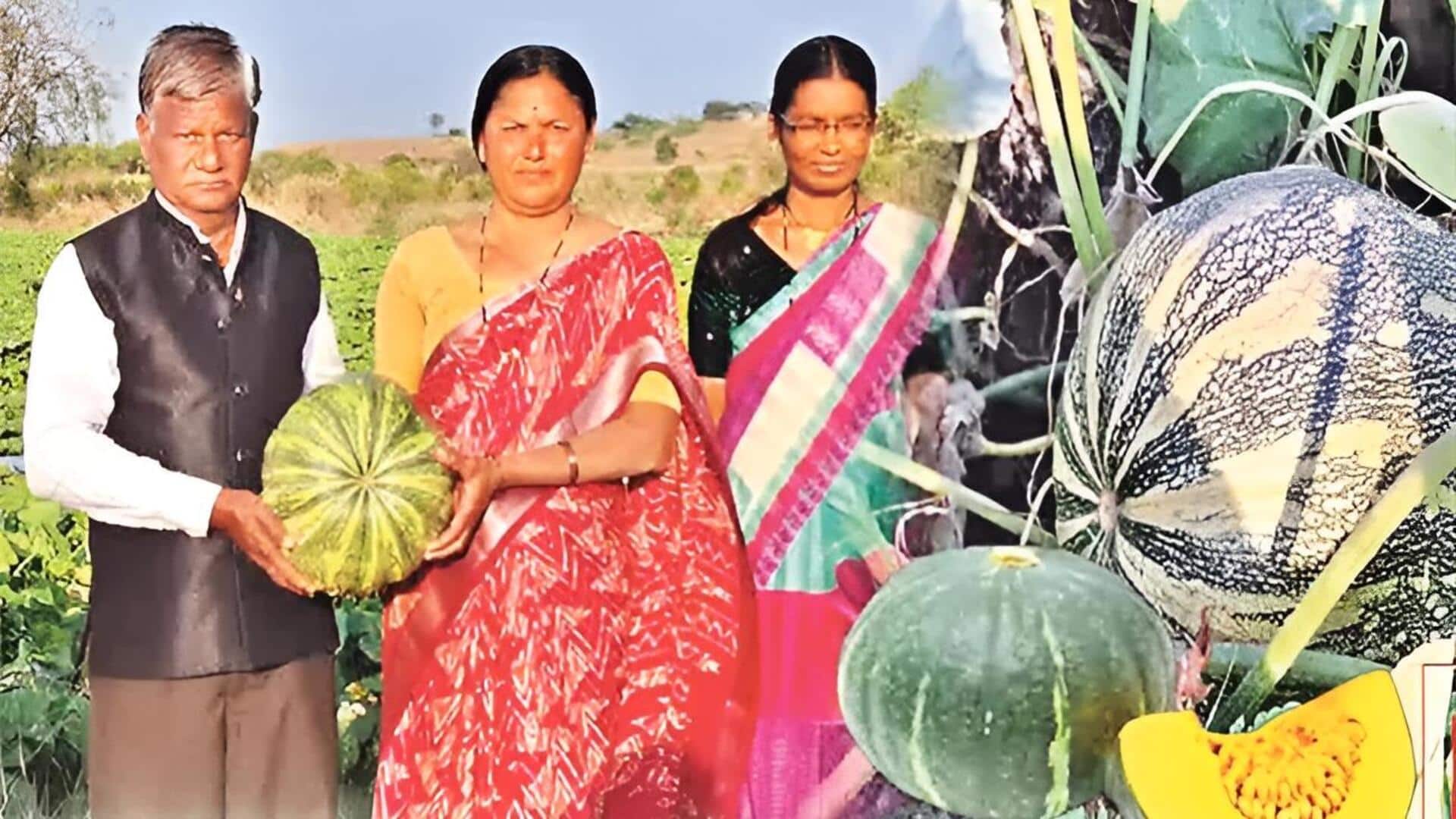 Maharastra: కరవు గడ్డలో మహిళల సాగు విజయం.. ఐదు రాష్ట్రాలకు గుమ్మడికాయల ఎగుమతి