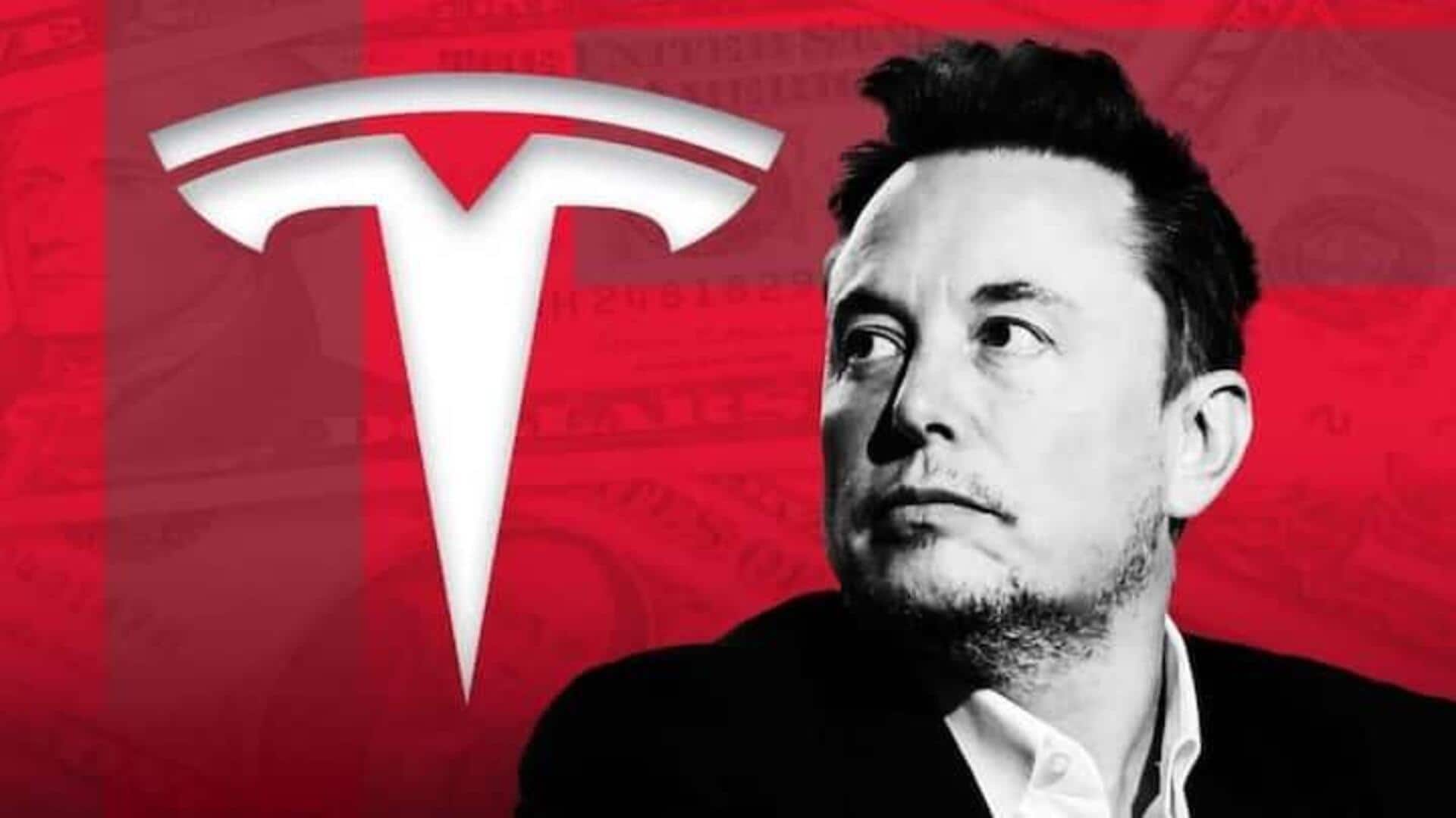 Tesla Robotaxi: టెస్లా రోబోటాక్సీకి కొత్త తలనొప్పి.. రాత్రివేళ పిల్లులను గుర్తించలేకపోతున్న కార్లు!