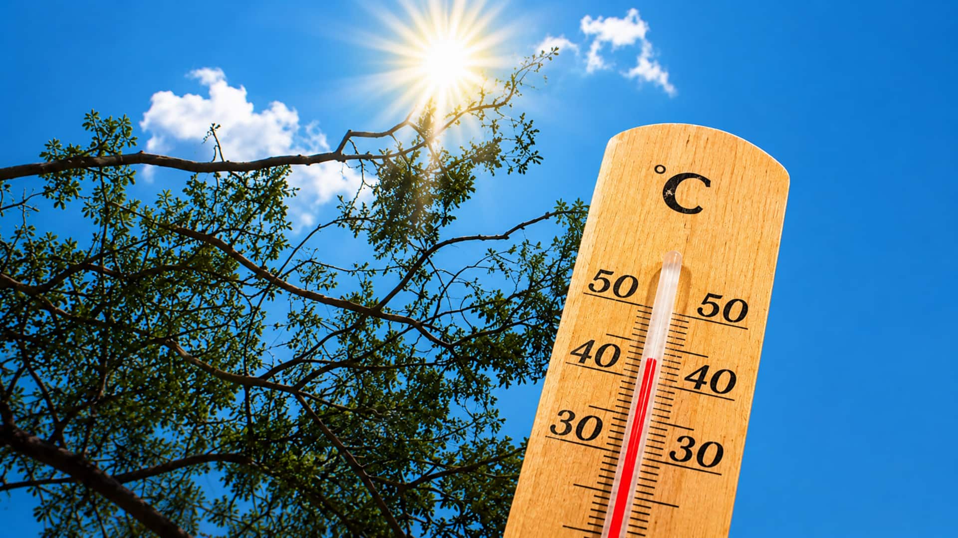 Heatwave 2026: హీట్‌వేవ్‌తో ఉక్కిరిబిక్కిరి అవుతున్న ఢిల్లీ.. వచ్చే 48 గంటలు అత్యంత కీలకం