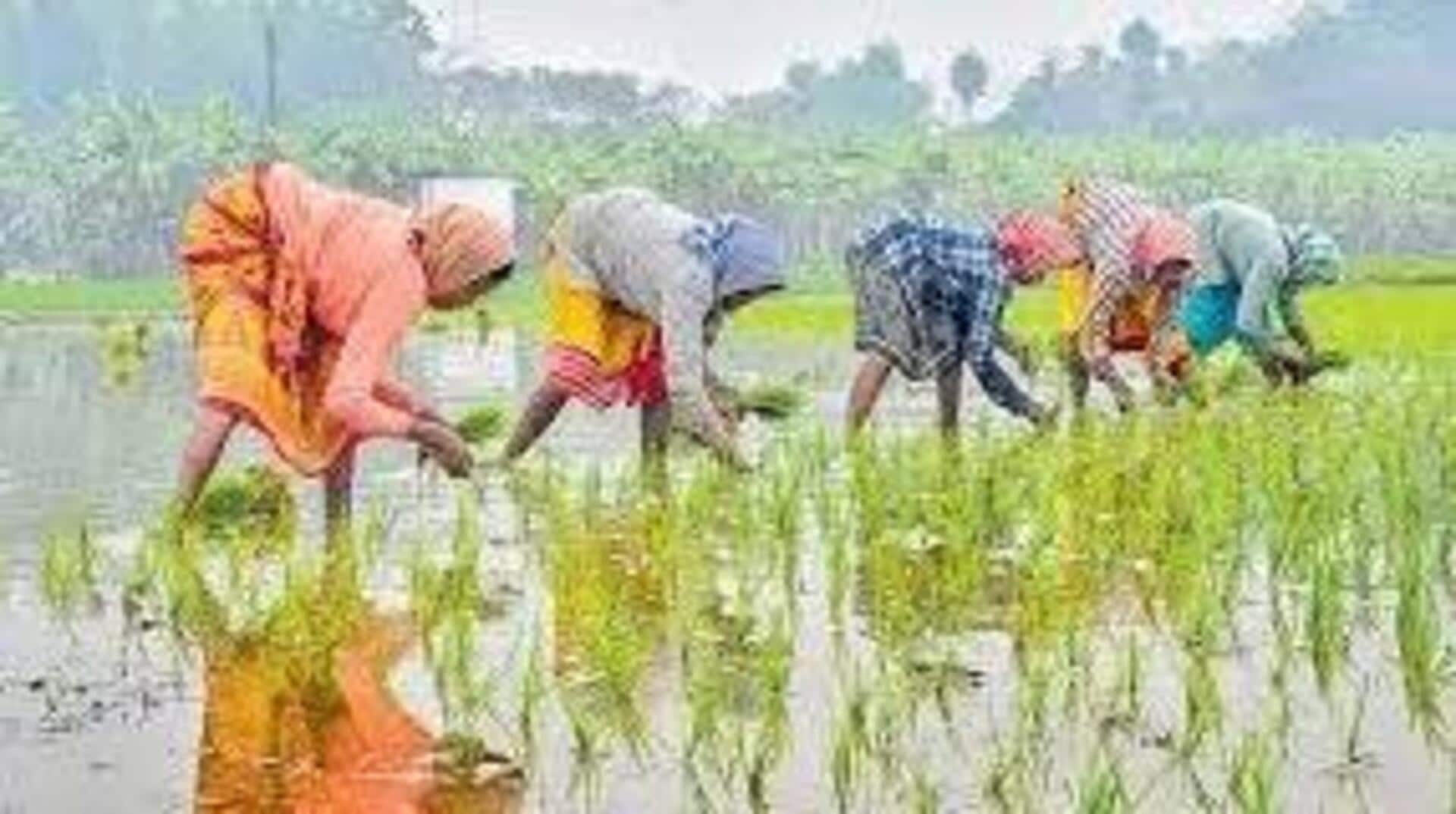 Rains: వరుస వర్షాలతో అన్నదాతలకు ఊరట