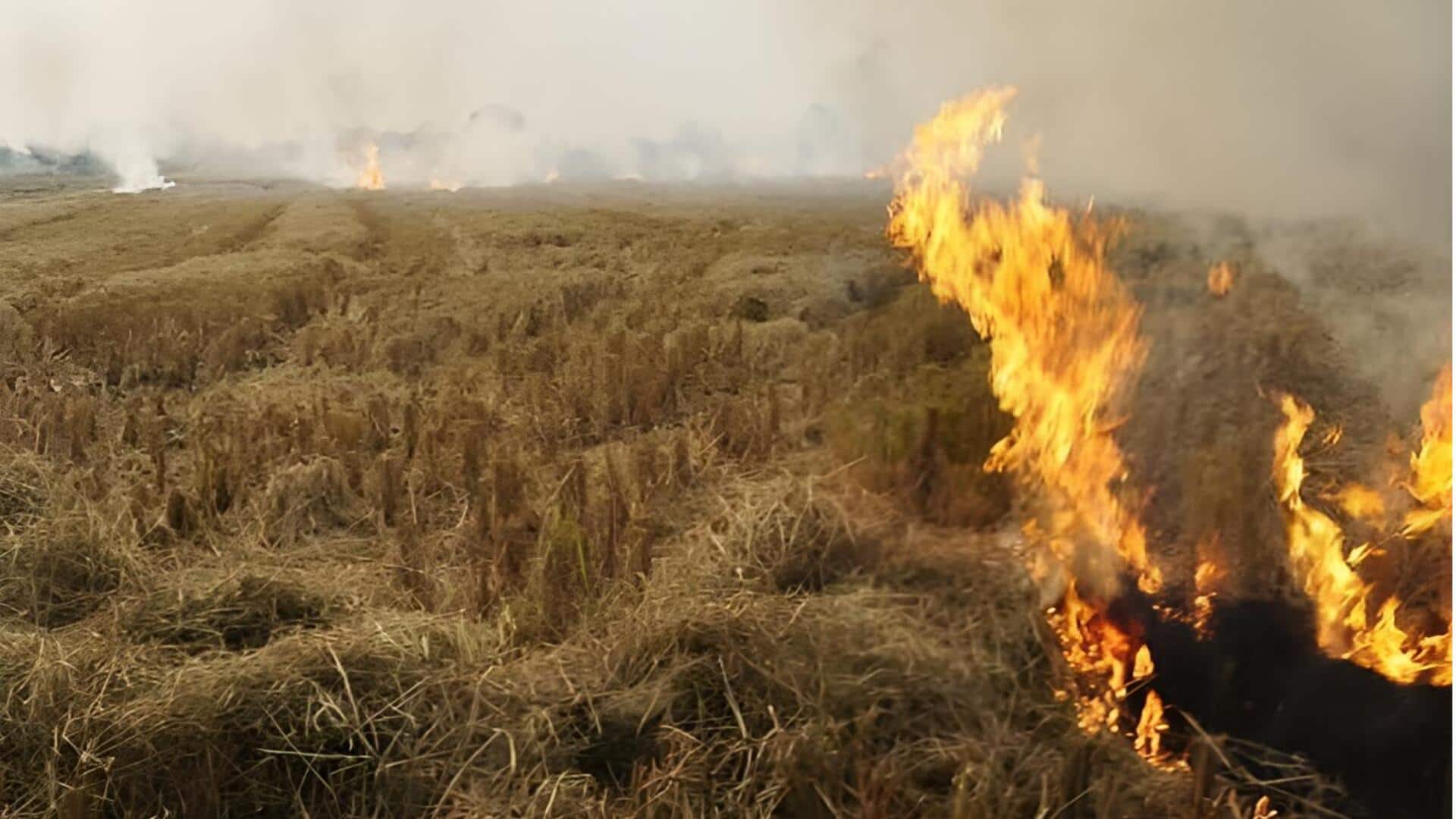 Andhra News: పంట అవశేషాలను తగులబెట్టకండి.. రైతులకు ఏపీ వ్యవసాయ శాఖ విజ్ఞప్తి