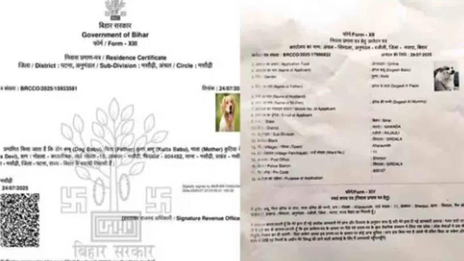 Dogesh: మరో కుక్కకు నివాస ధృవీకరణ పత్రం జారీ.. దరఖాస్తు చేసిన వ్యక్తిపై కేసు నమోదు Dogesh: మరో కుక్కకు నివాస ధృవీకరణ పత్రం జారీ.. దరఖాస్తు చేసిన వ్యక్తిపై కేసు నమోదు