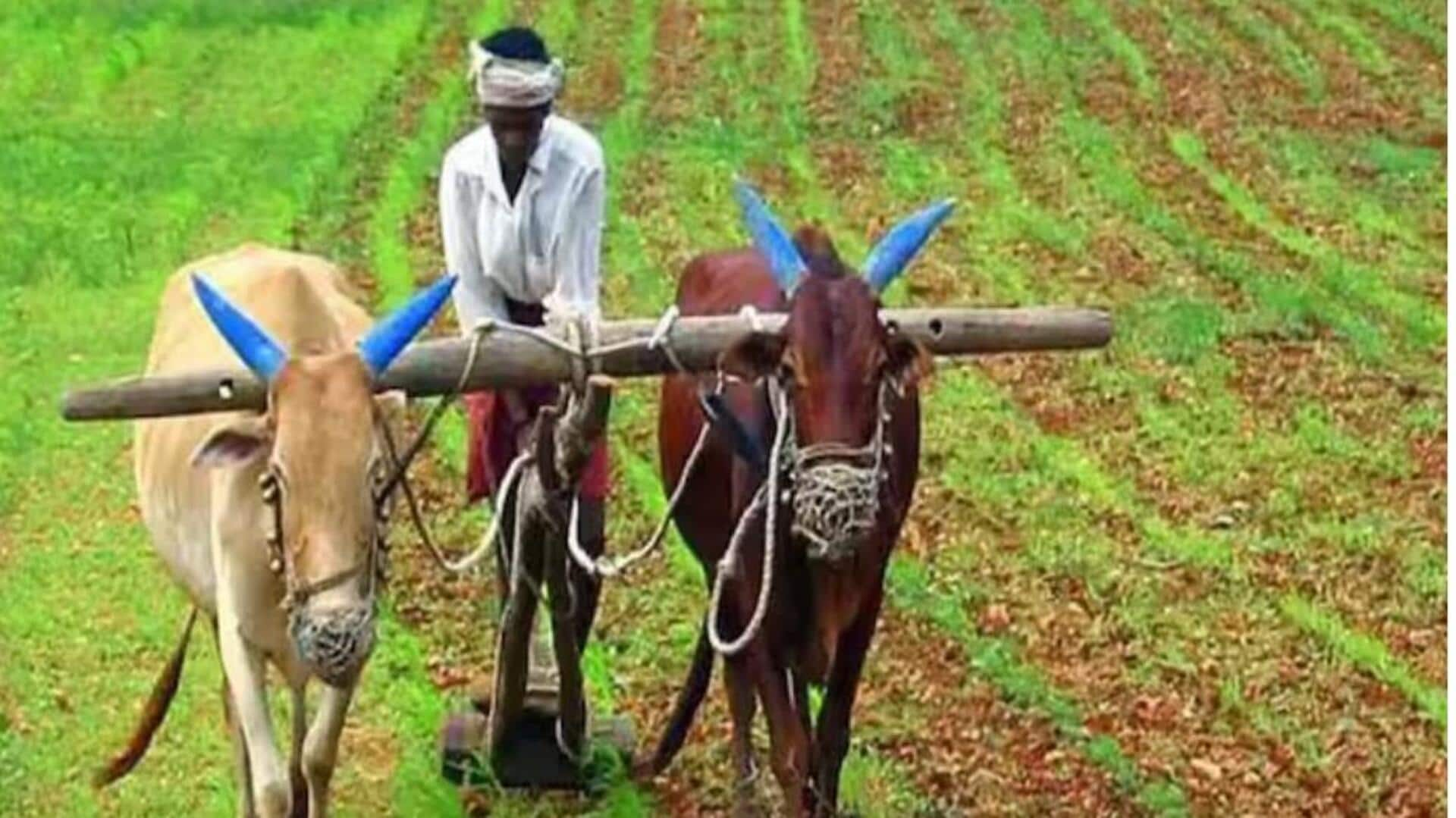 PM Kisan FPO Scheme : రైతుల కోసం కేంద్రం ప్రత్యేక పథకం.. పీఎంకేఎఫ్‌పీఓ కింద రూ.15 లక్షల ఆర్థిక సాయం