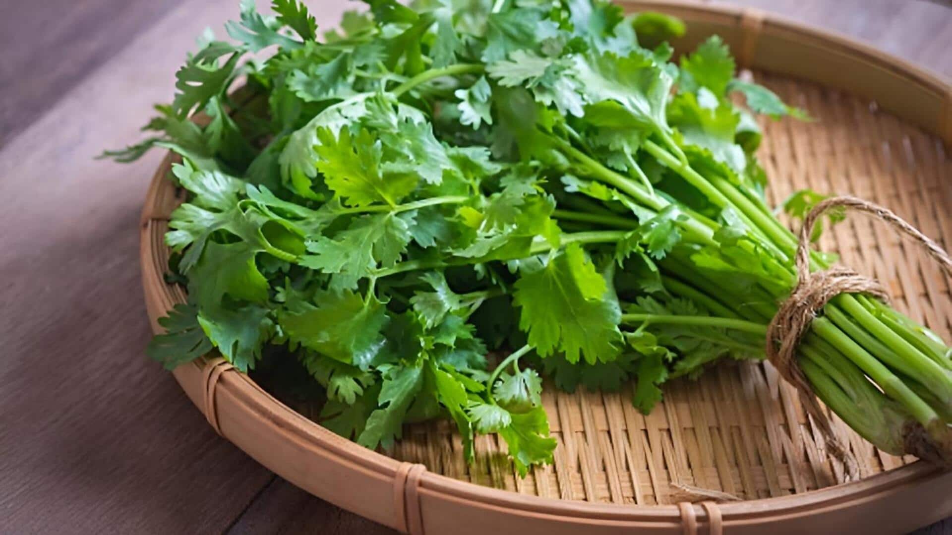 Coriander leaves: కొత్తిమీర మైక్రోగ్రీన్స్: ఇంట్లో వాటిని ఎలా పెంచాలి?