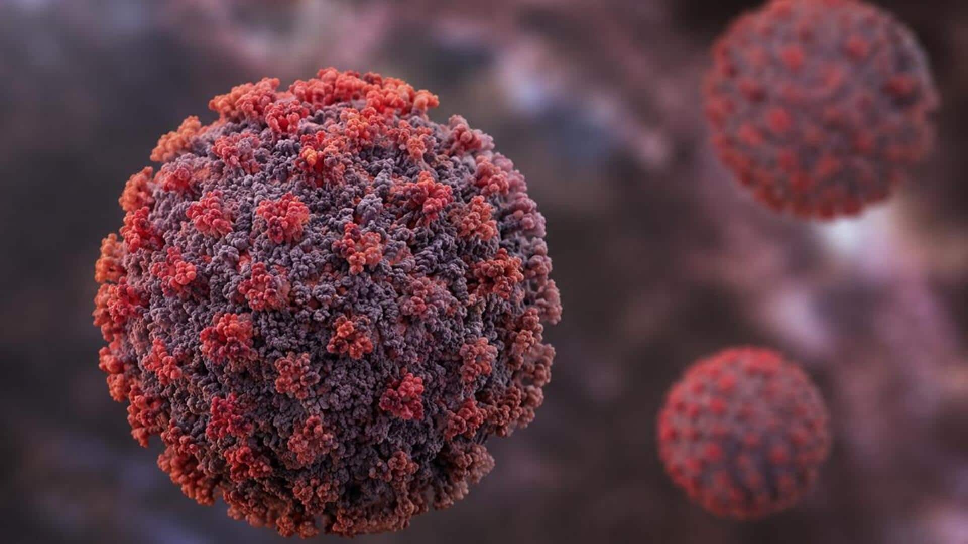 Noro virus: హంటా, నోరో, కోవిడ్.. ఆందోళన కలిగిస్తున్న వైరస్‌లు.. అసలు నిజాలు ఇవే!