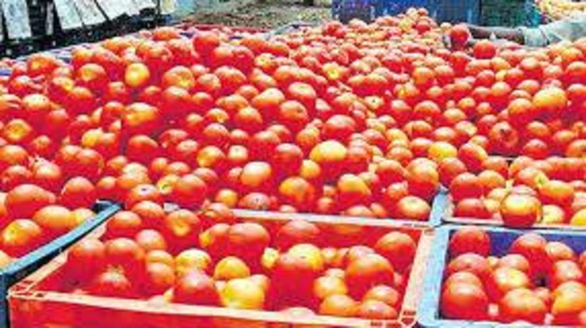 Tomato: టమాటా ధరలు పతనం.. లబోదిబోమంటున్న రైతులు