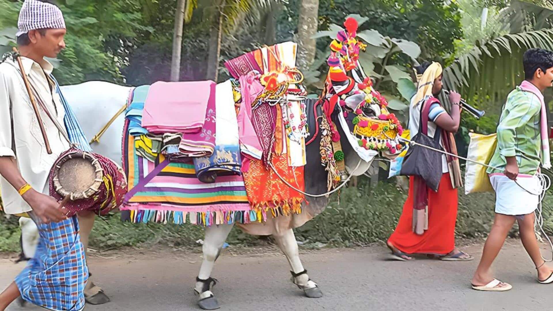 Andhra News: రాష్ట్ర ప్రభుత్వ ఆధ్వర్యంలో సంక్రాంతి ఉత్సవాలు.. మూడు రోజులు.. మూడు ప్రాంతాలు.. మహా సంబరం