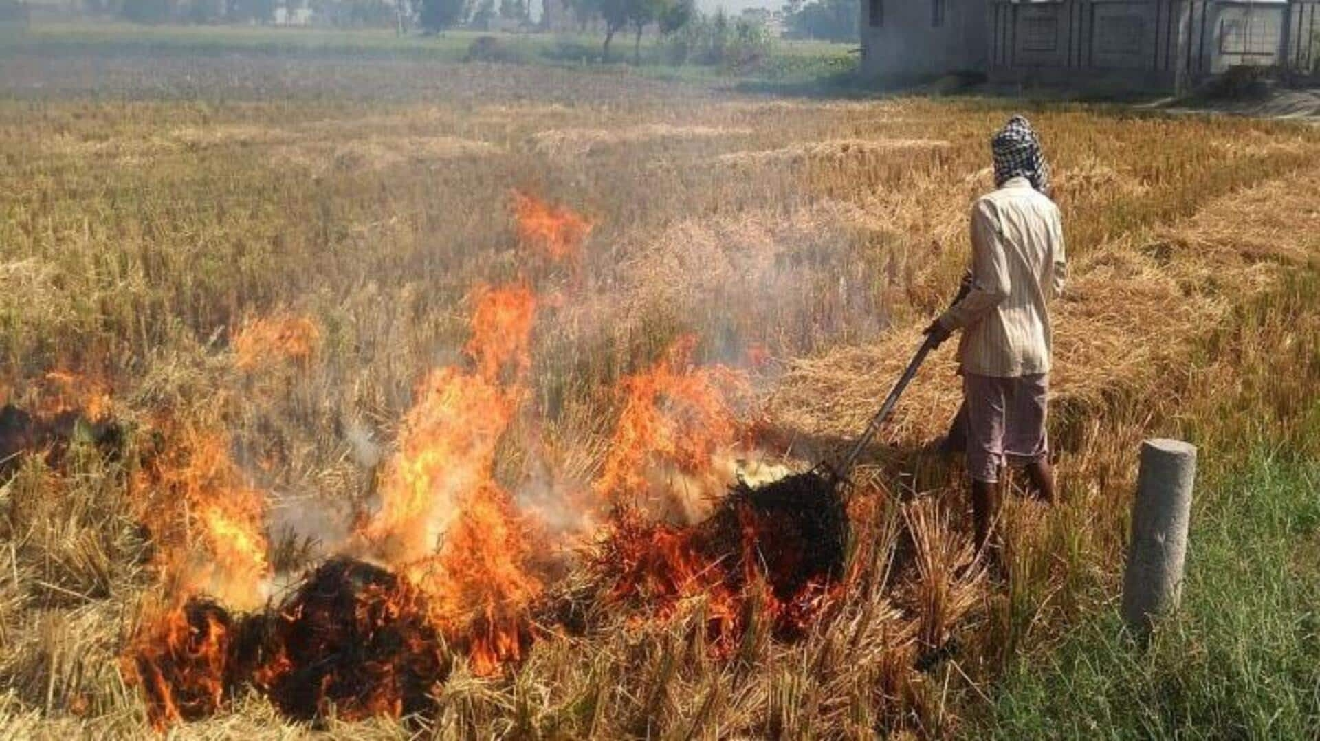 Delhi: పంట వ్యర్థాలను బహిరంగంగా దహనం చేసేవారికి కఠిన శిక్షతో పాటు భారీ జరిమానా