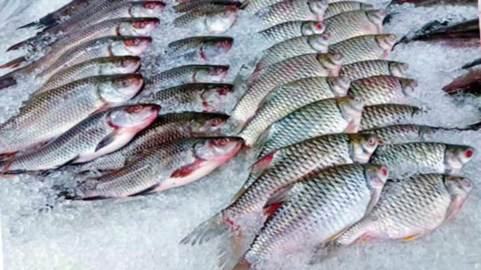 Fisheries Export Center: తెలంగాణలో అంతర్జాతీయ చేపల ఎగుమతుల కేంద్రం.. కేంద్ర ప్రభుత్వం నిర్ణయం..