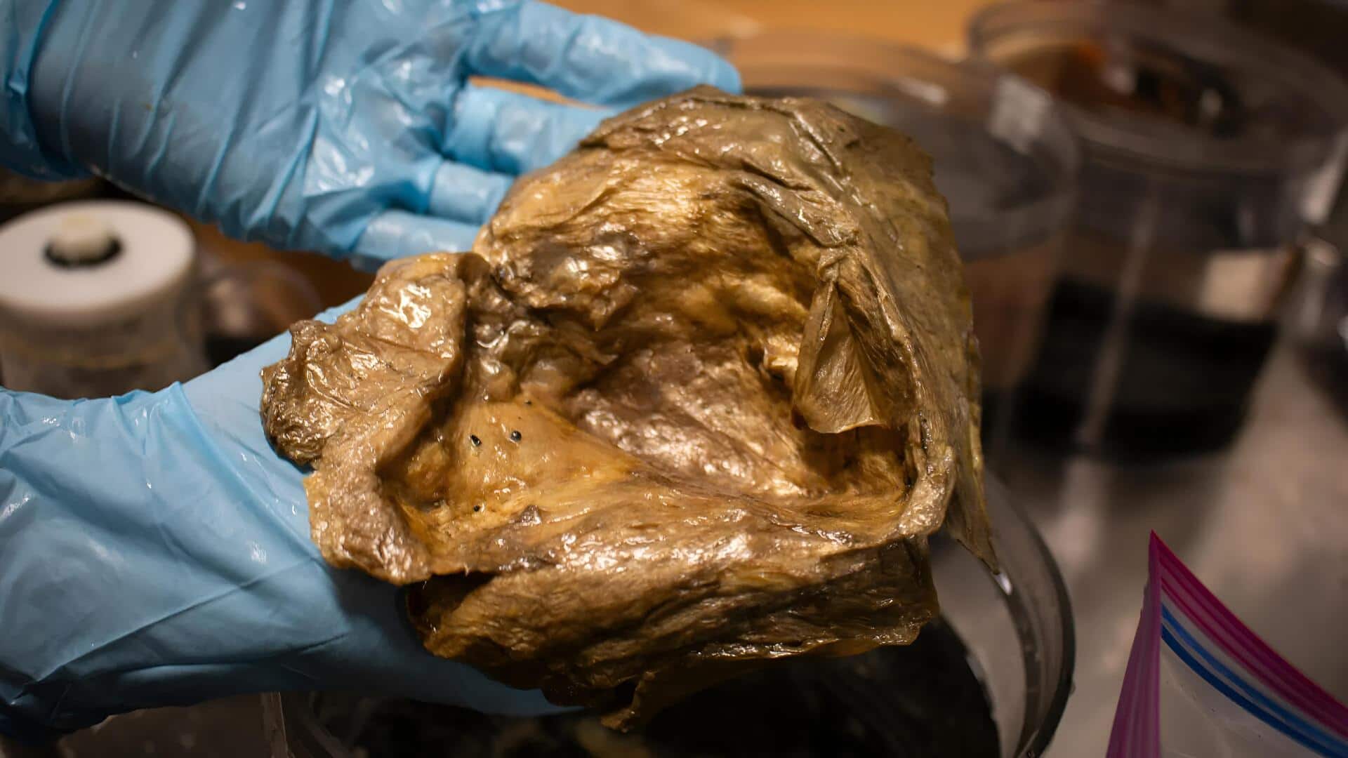 Golden Orb: సముద్ర గర్భంలోని 'గోల్డెన్ ఆర్బ్' మిస్టరీ వీడింది.. ఏలియన్ కాదు!