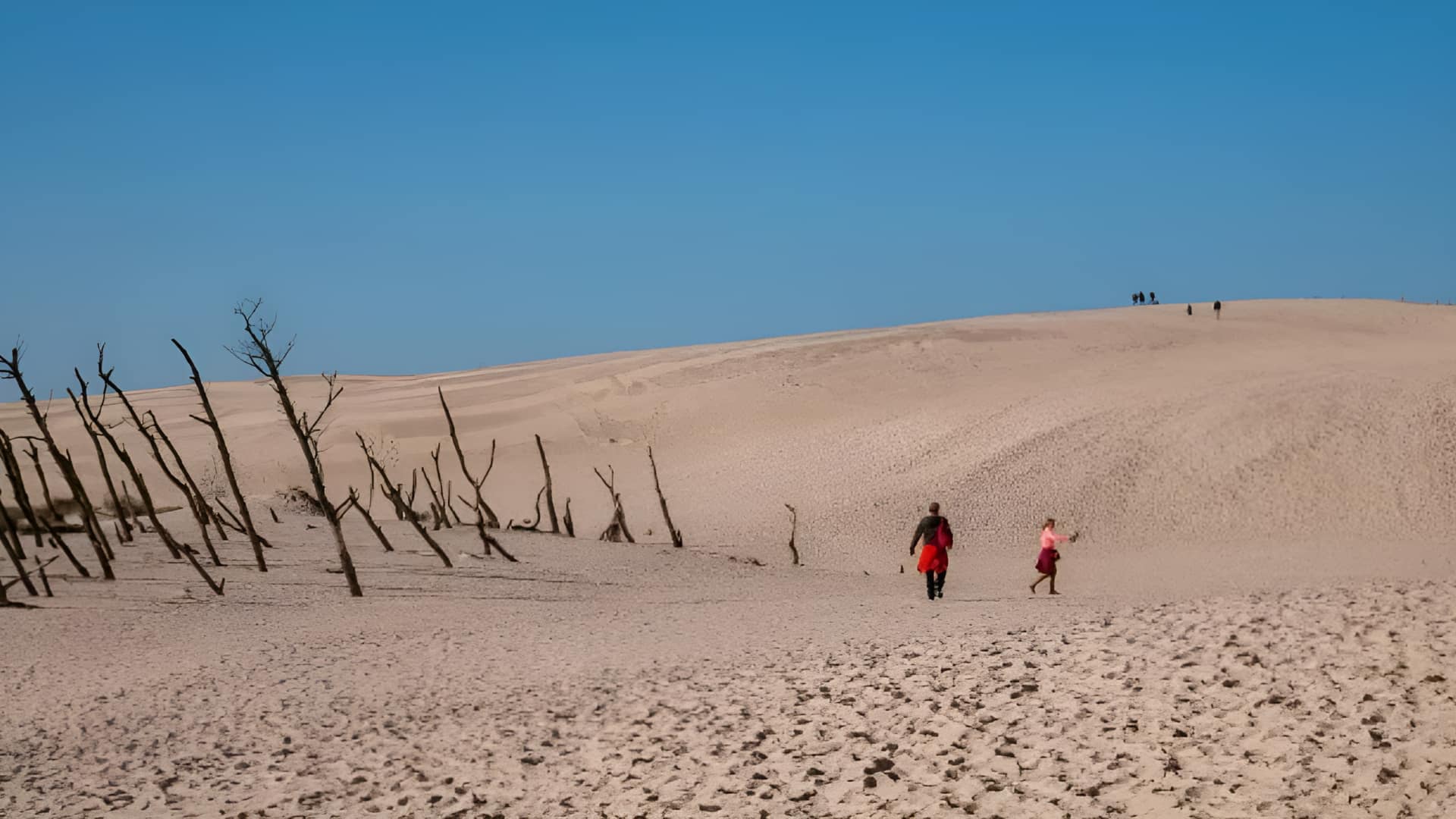 Desert: సహారా ఎడారిలో విషాదం.. నీరు దొరక్క 49 మంది మృతి