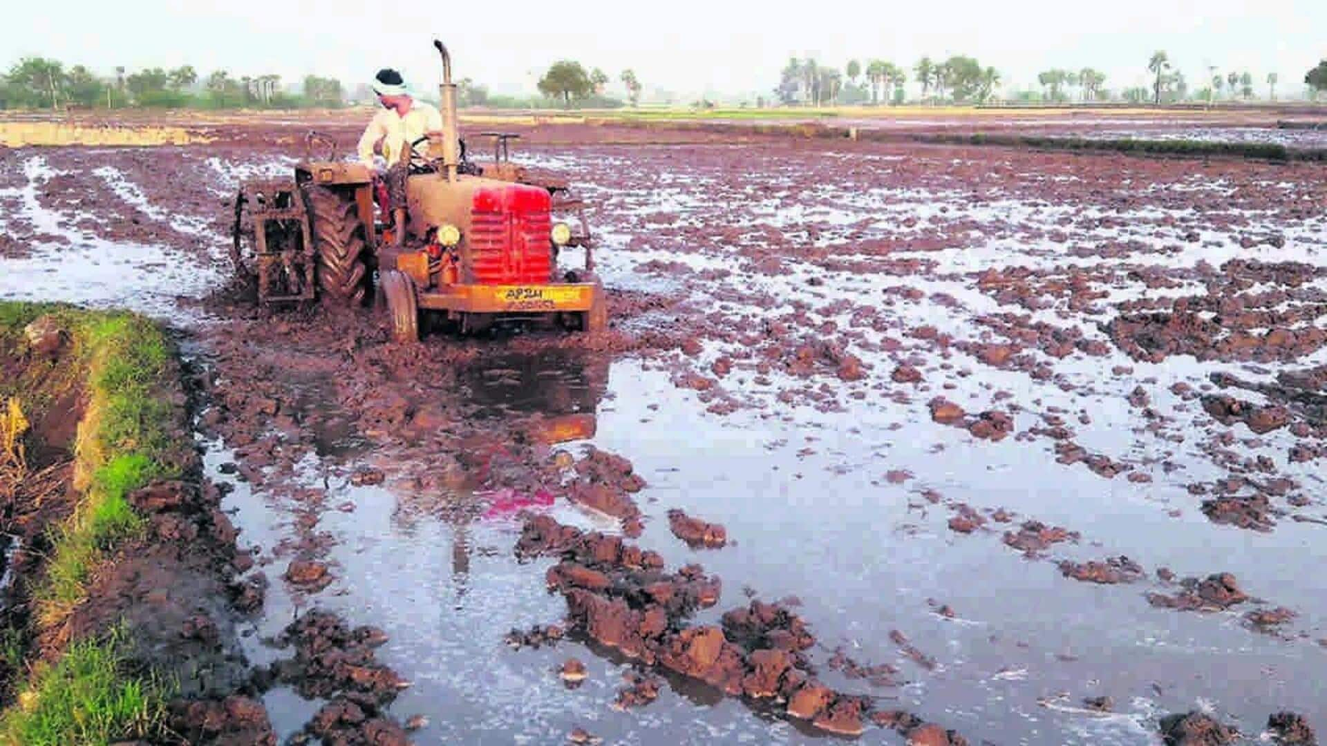 Yasangi Season: యాసంగి పంటల కోసం సాగునీటి విడుదల - వారబందీ విధానానికి నీటి పారుదల శాఖ ప్రణాళిక  