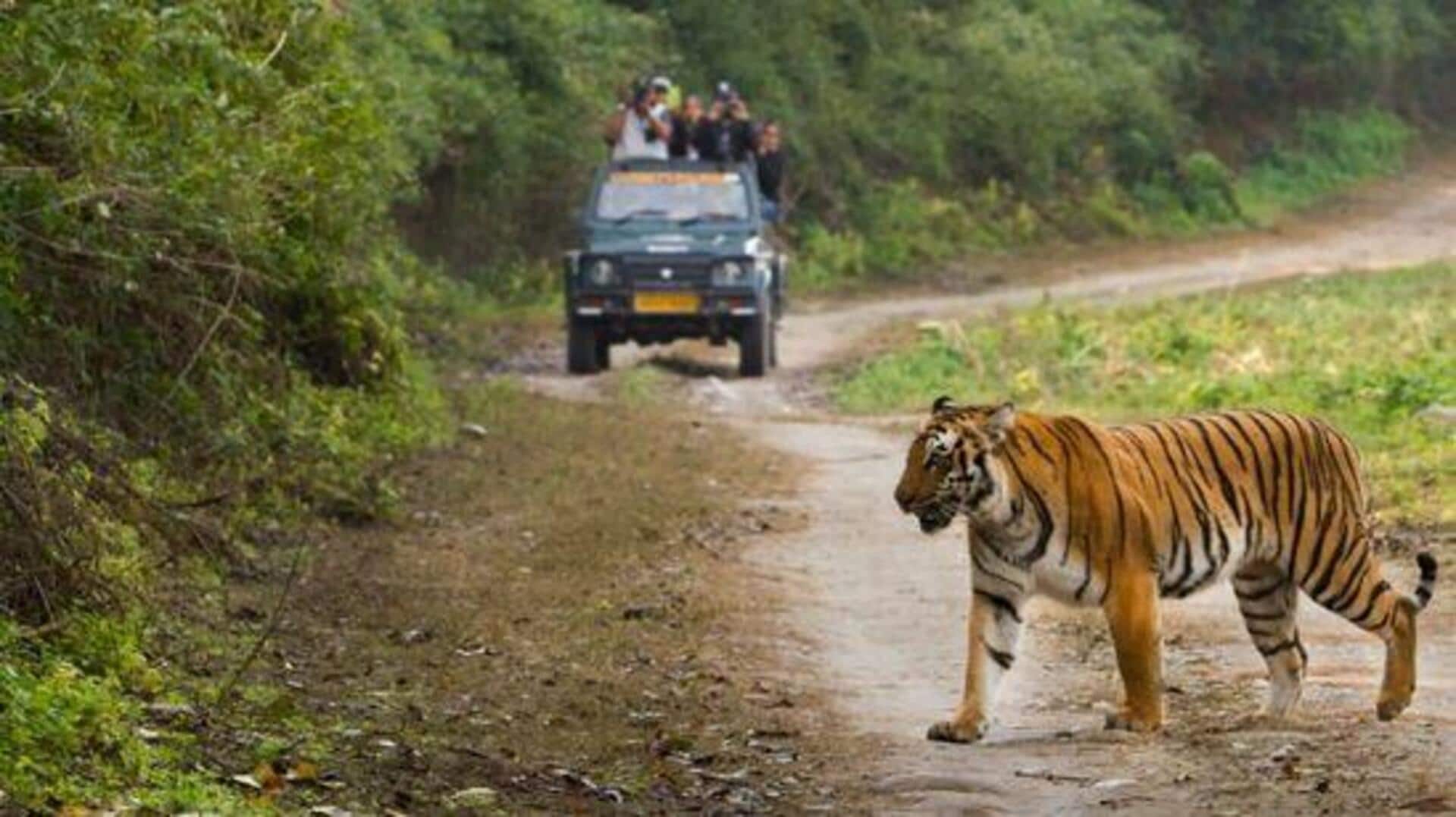 Jungle Safari: పిల్లలతో కలిసి అడవి సఫారీకి వెళ్తున్నారా? ఇలా ప్లాన్ చేస్తే రెండు రెట్లు మజా! Jungle Safari: పిల్లలతో కలిసి అడవి సఫారీకి వెళ్తున్నారా? ఇలా ప్లాన్ చేస్తే రెండు రెట్లు మజా!