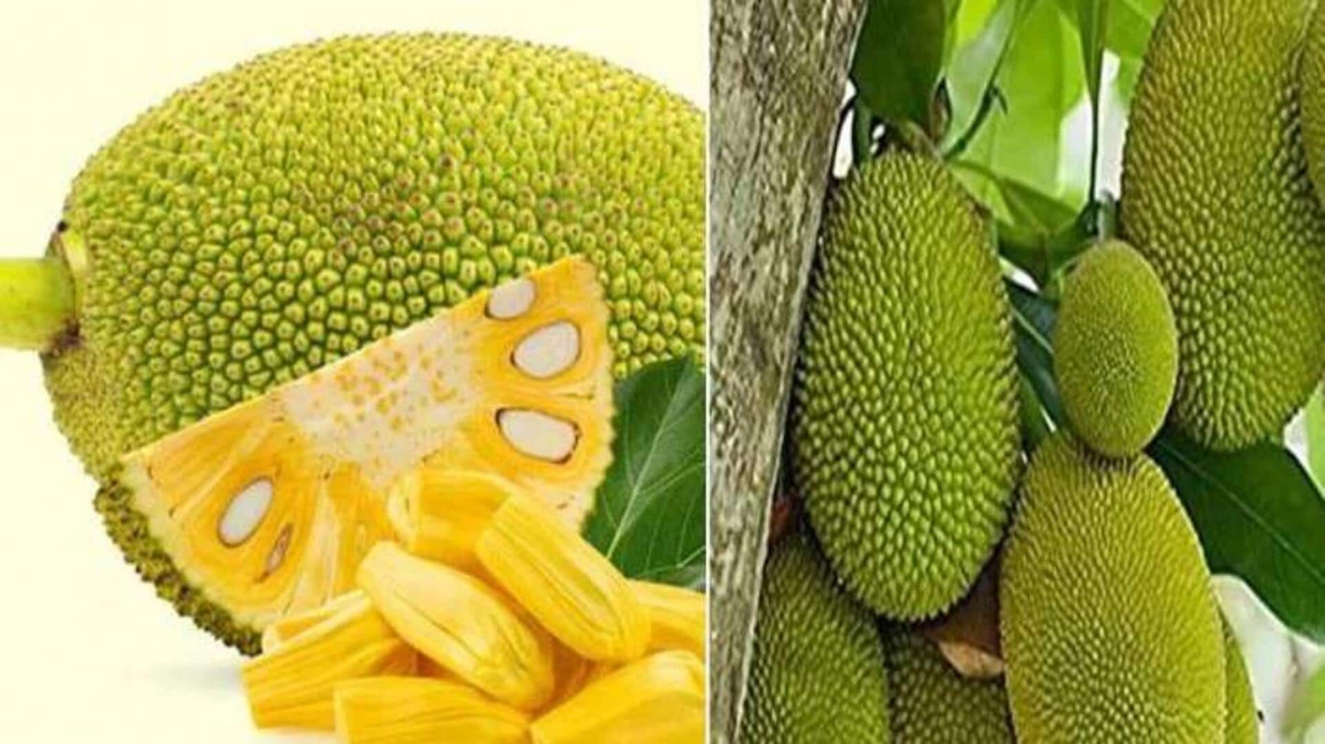 Jackfruit super tasty food : పనసతో నోరూరించే వంటలు.. రుచుల్ని ఆస్వాదించండిలా..