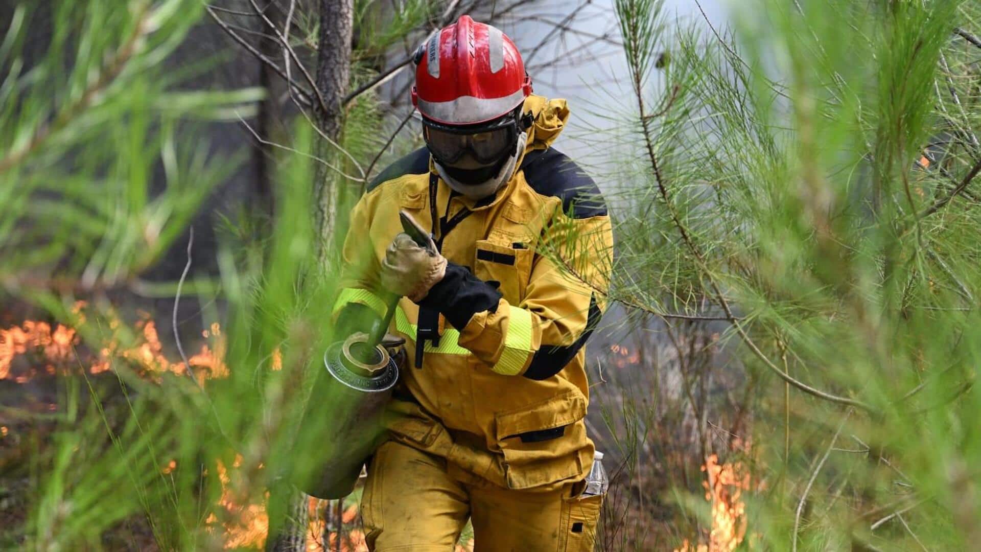 France Wildfire: ఫ్రాన్స్-స్పెయిన్ సరిహద్దులో తగ్గుముఖం పట్టిన కార్చిచ్చు.. ఇంటి బాట పట్టిన 84 వేల మంది