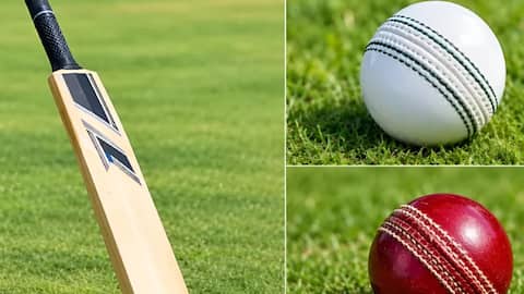 Cricket : క్రికెట్‌లో సరికొత్త ప్రయోగం.. ఒకే జట్టులో అమ్మాయిలు, అబ్బాయిలు!