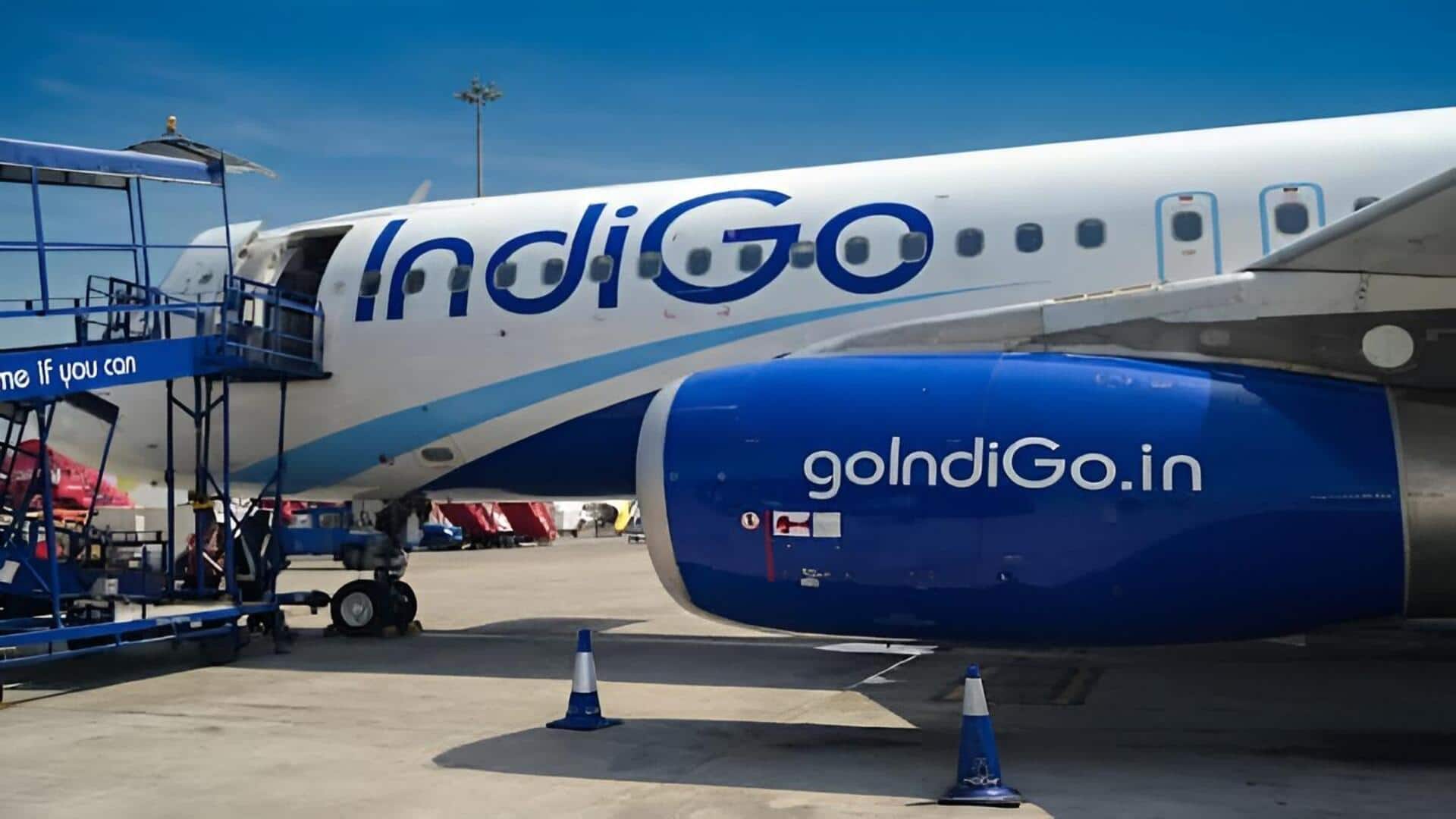 Indigo: ఇండిగో వెబ్‌సైట్‌లో సాంకేతిక సమస్య.. బుకింగ్స్‌, చెక్‌-ఇన్‌లో ఇబ్బందులు!